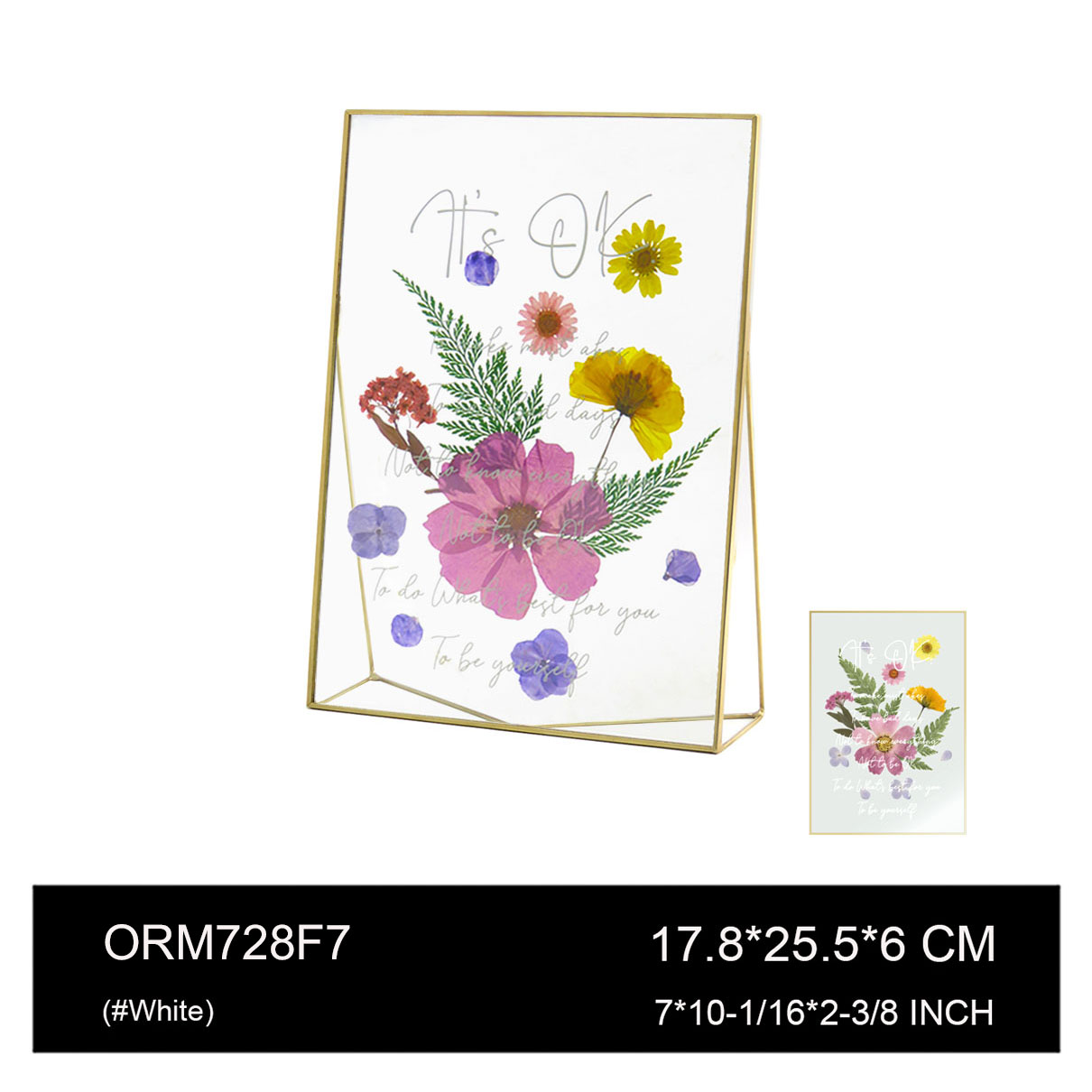 ORM728F7